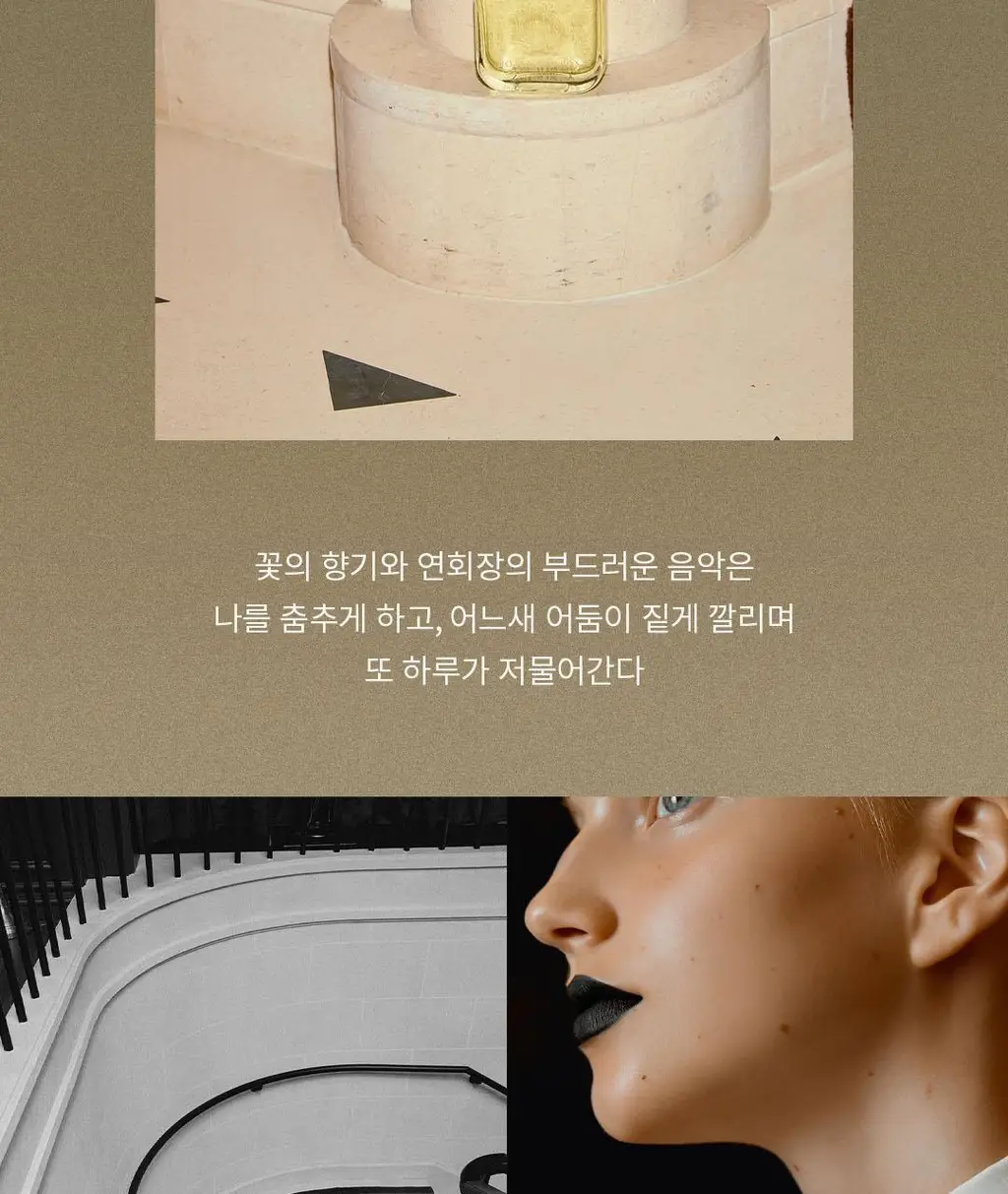 호텔도슨 디퓨저 더시크릿세션 250ml [소프트 플로럴 향] 상세페이지 10